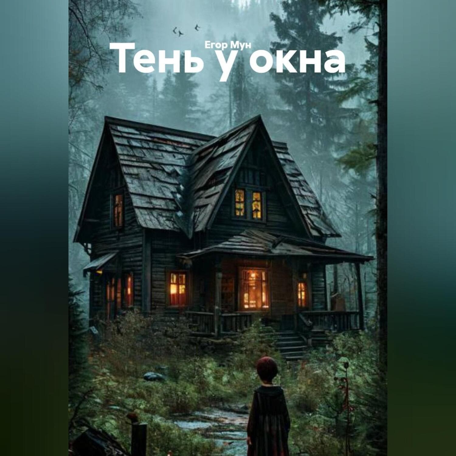 Обложка книги «Тень у окна» — Елена Мун