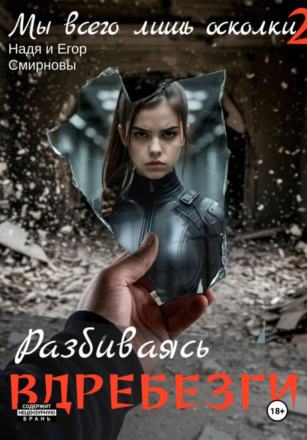 Обложка книги «Мы всего лишь осколки: Разбиваясь вдребезги» — Е. Ю. Смирнов