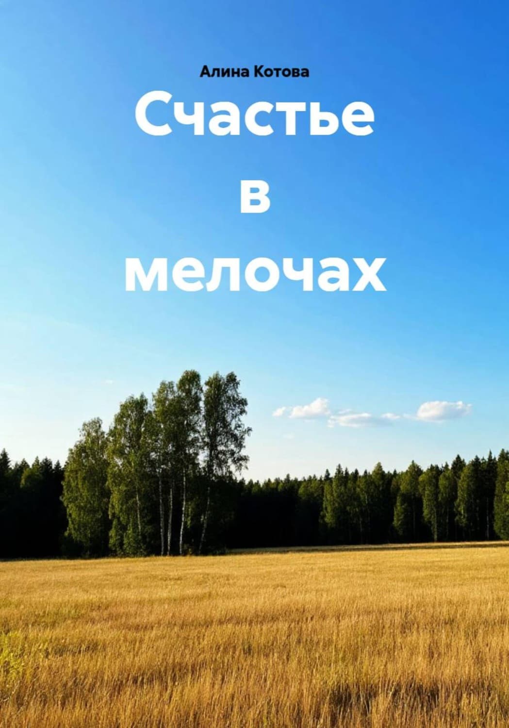 Обложка книги «Счастье в мелочах» — Алена Котова