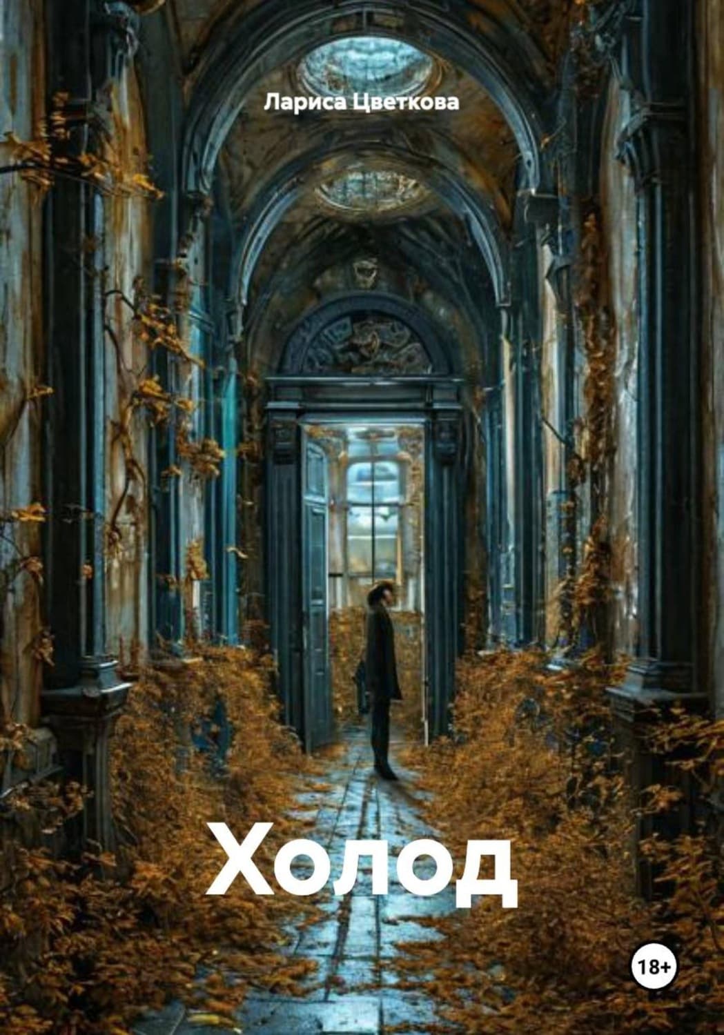 Обложка книги «Холод» — Любовь Цветкова