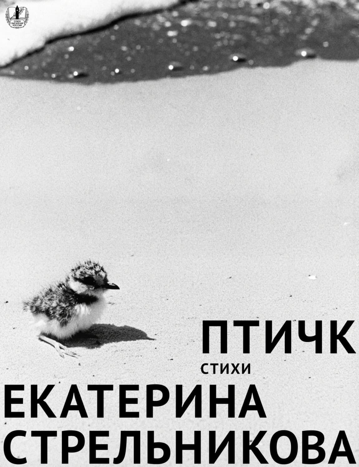 Обложка книги «Птичк» — Е. Н. Стрельникова, Надежда Супрунова