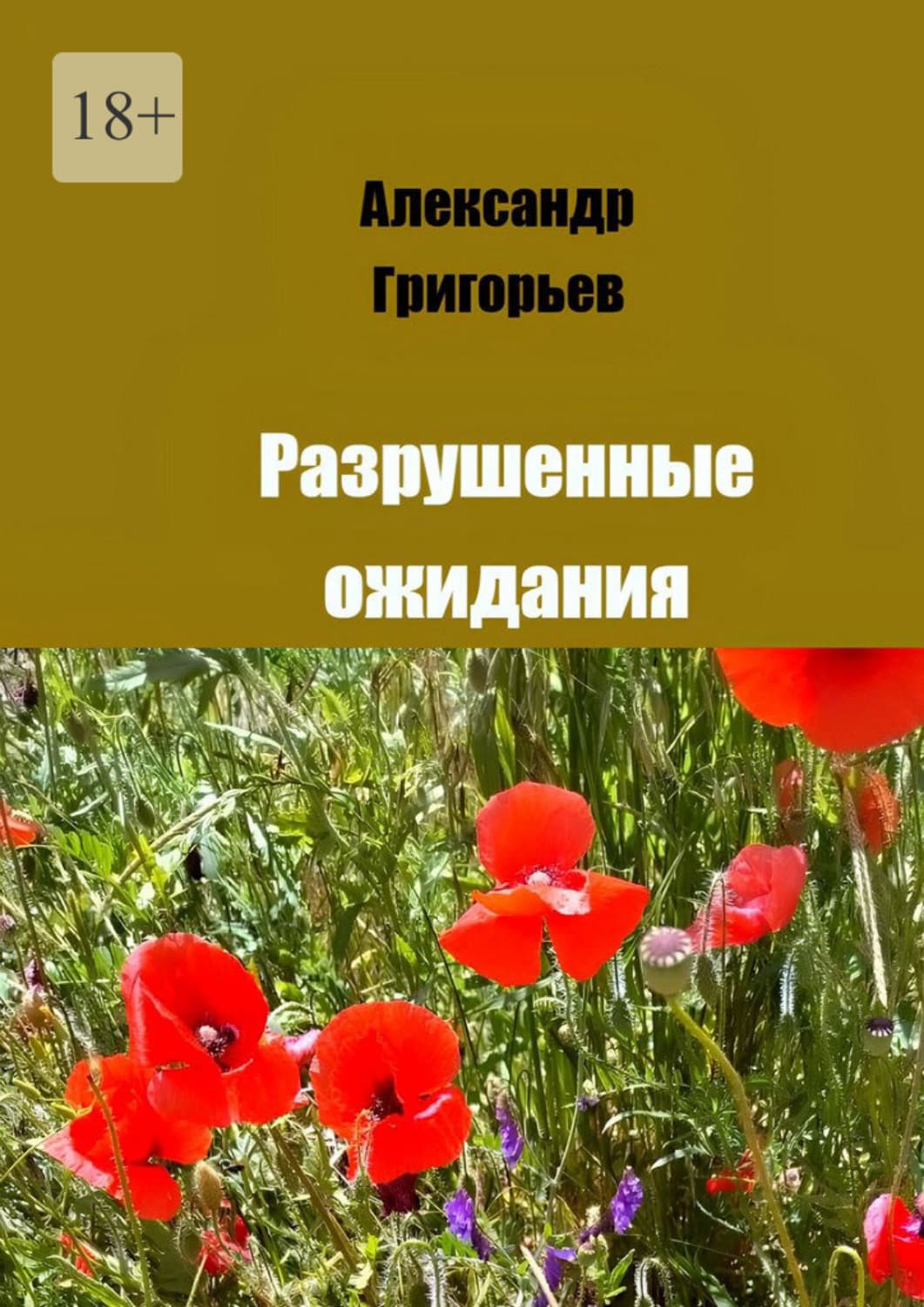 Обложка книги «Разрушенные ожидания» — Аполлон Григорьев
