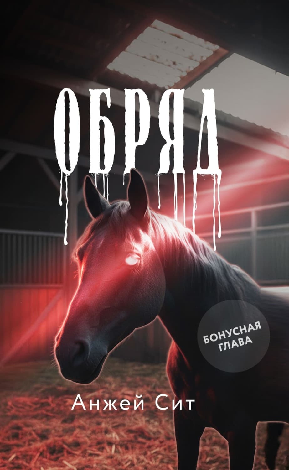 Обложка книги «Обряд. Бонусная глава» — Анжей Сит