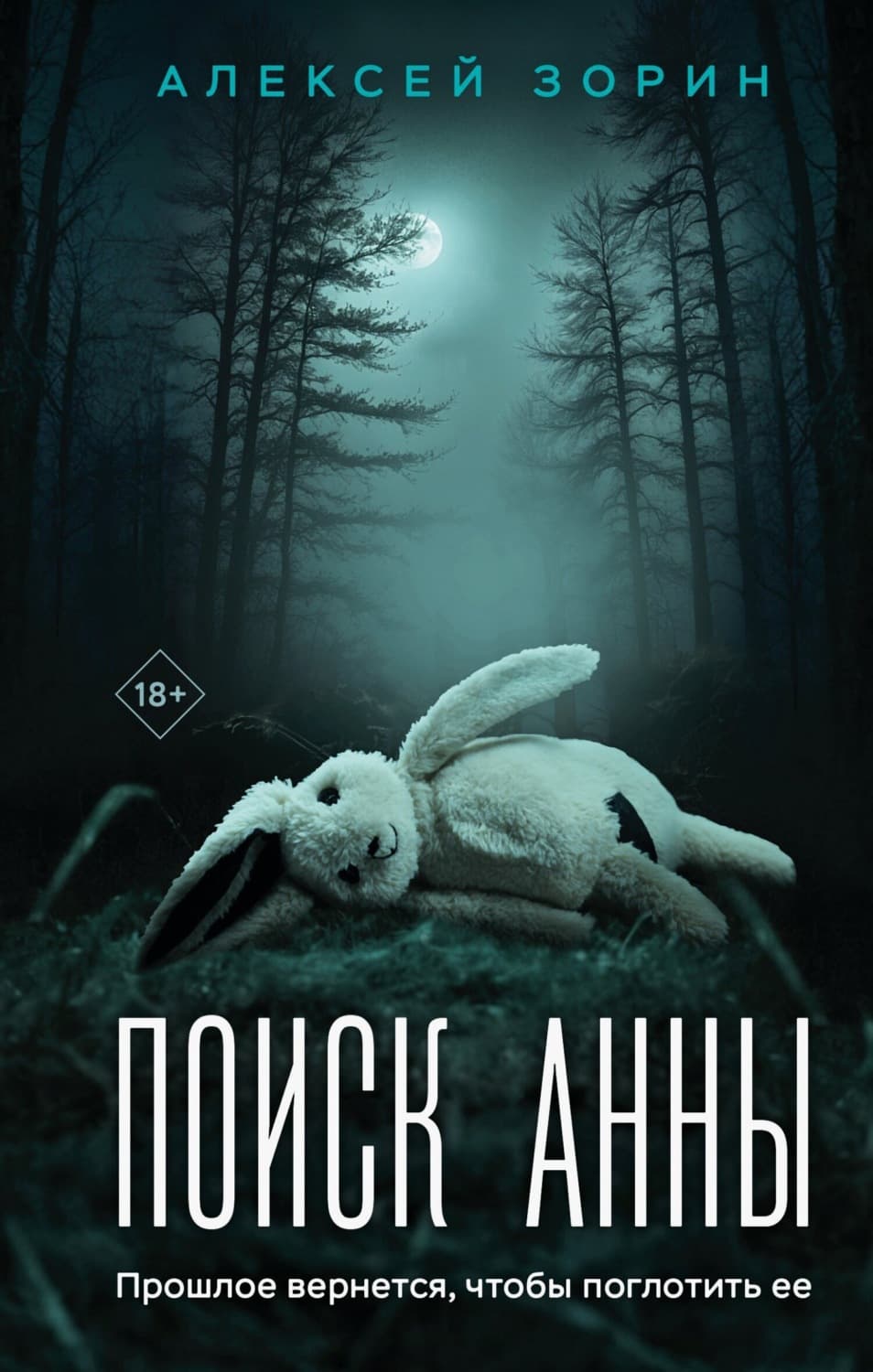Обложка книги «Поиск Анны» — А. С. Зорин