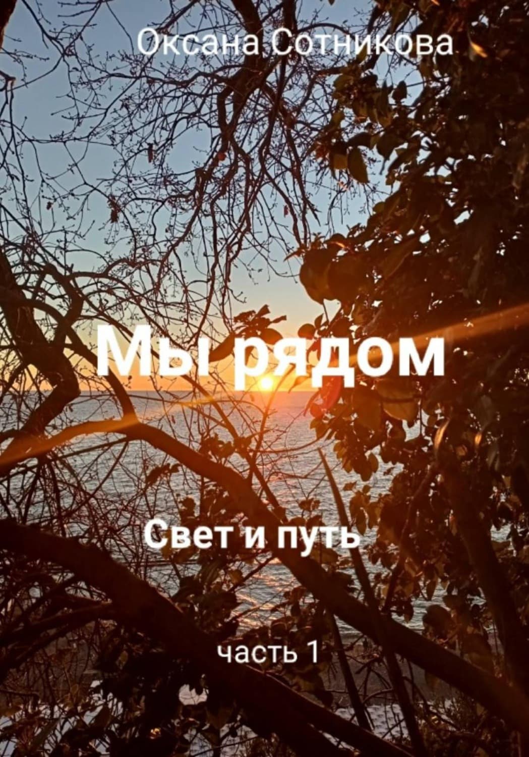 Обложка книги «Мы рядом. Свет и путь. Часть 1» — Ольга Сотникова