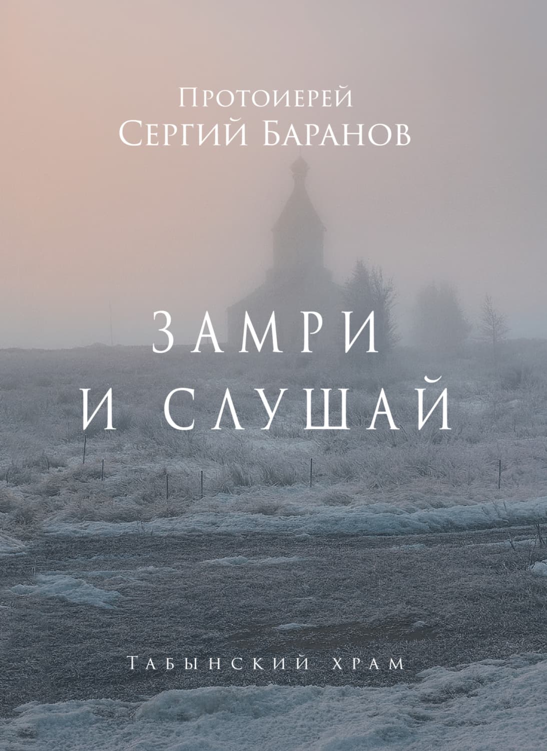 Обложка книги «Замри и слушай» — П. А. Баранов