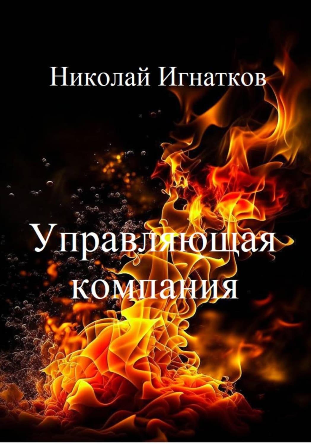 Обложка книги «Управляющая компания» — Николай Игнатков
