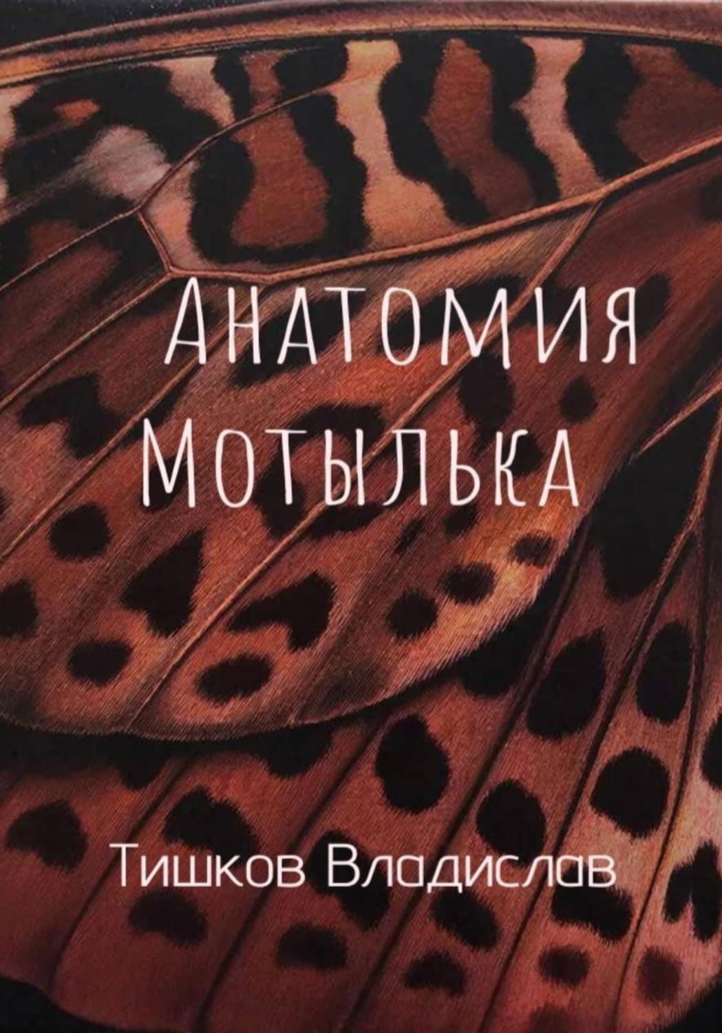 Обложка книги «Анатомия Мотылька» — В. В. Тишков
