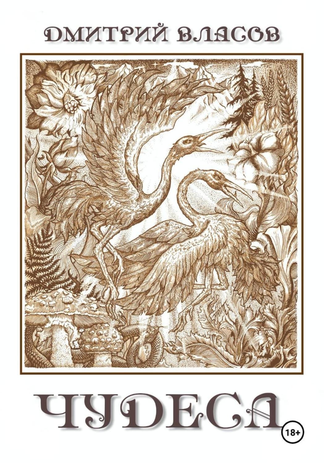 Обложка книги «Чудеса» — Д. С. Власов