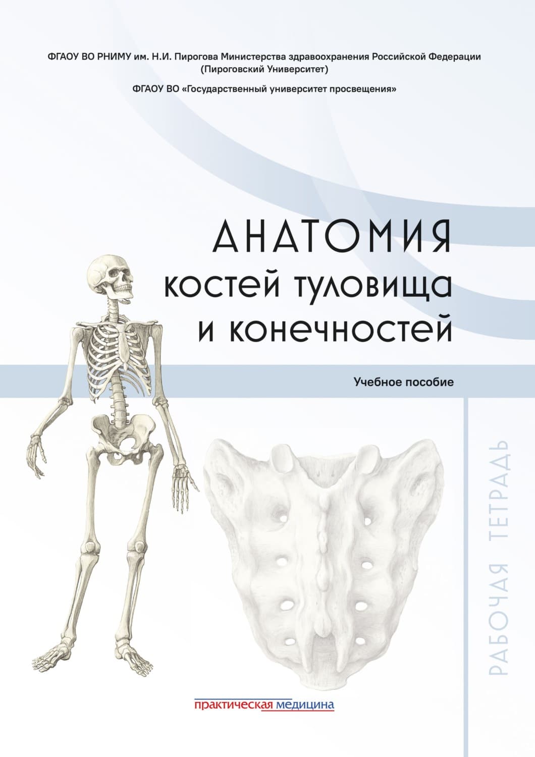 Обложка книги «Анатомия костей туловища и конечностей. Рабочая тетрадь» — Коллектив авторов