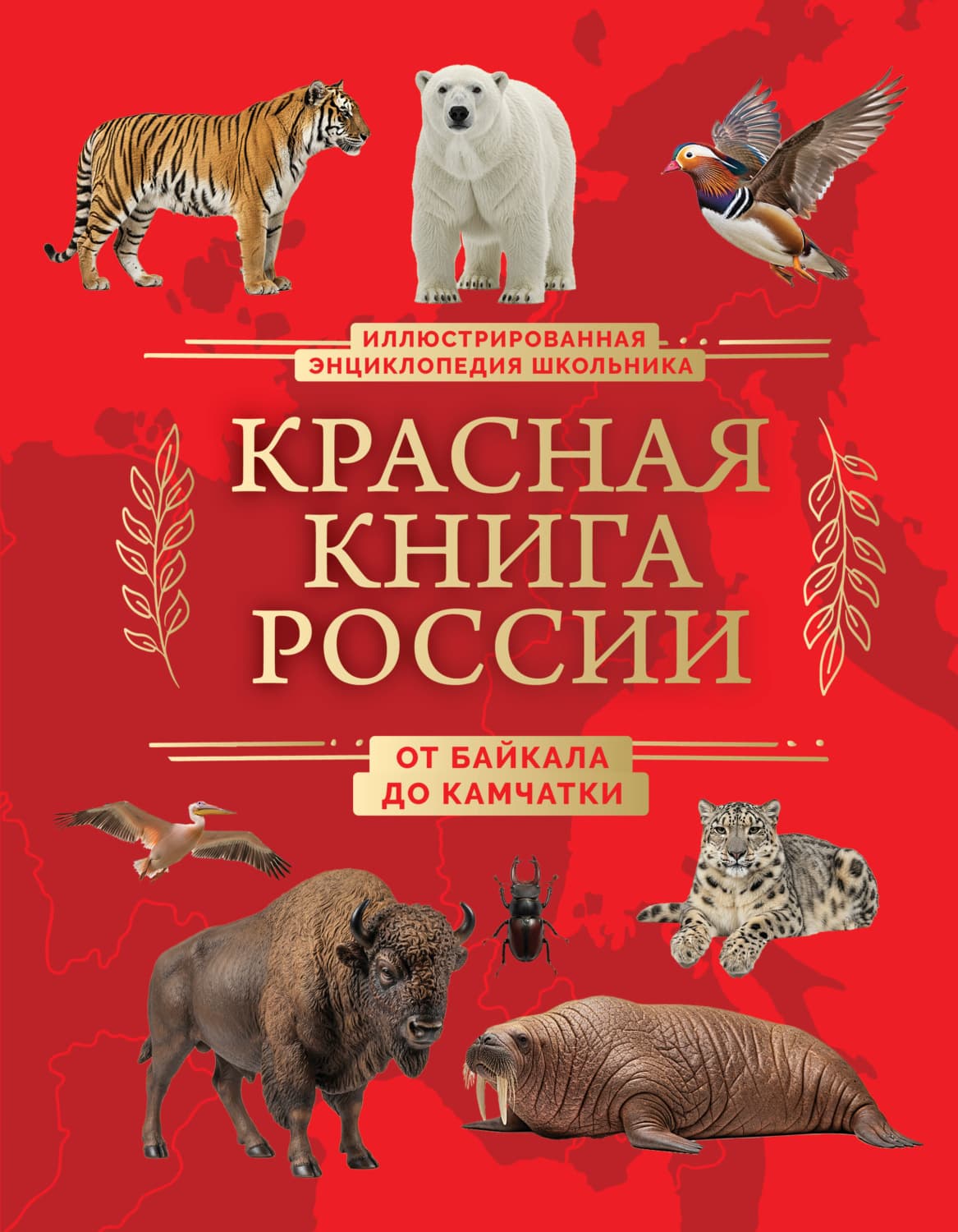 Обложка книги «Красная книга России. От Байкала до Камчатки. Иллюстрированная энциклопедия школьника» — Юлия Добрыня