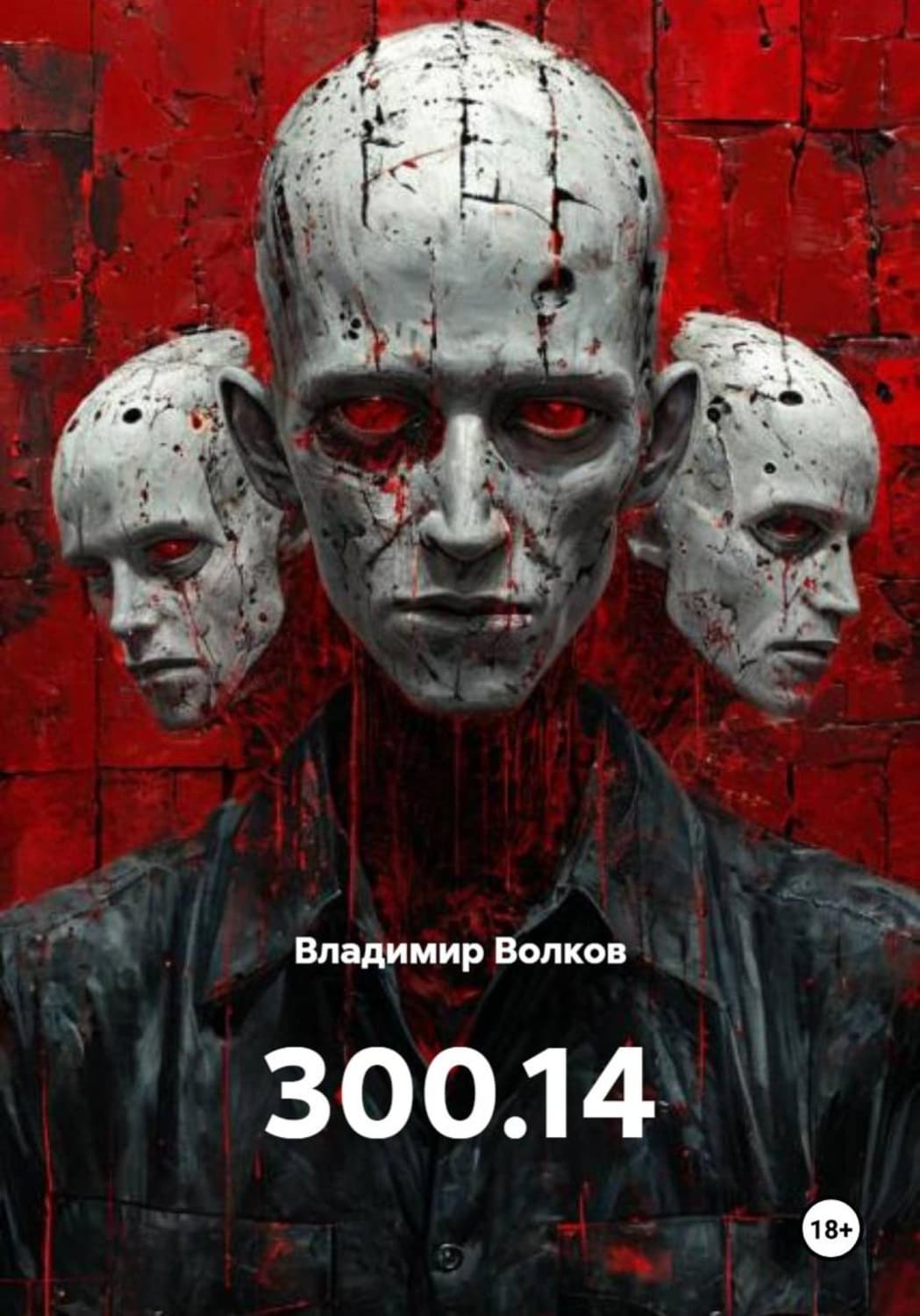 Обложка книги «300.14» — В. А. Волков