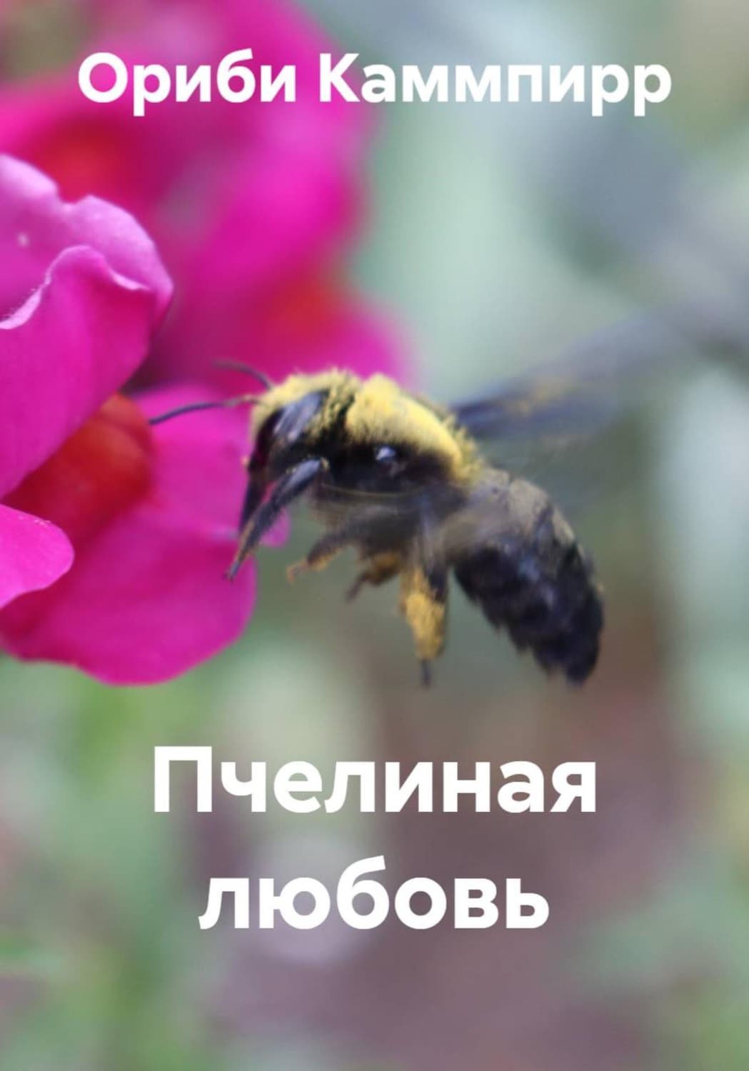 Обложка книги «Пчелиная любовь» — Ориби Каммпирр