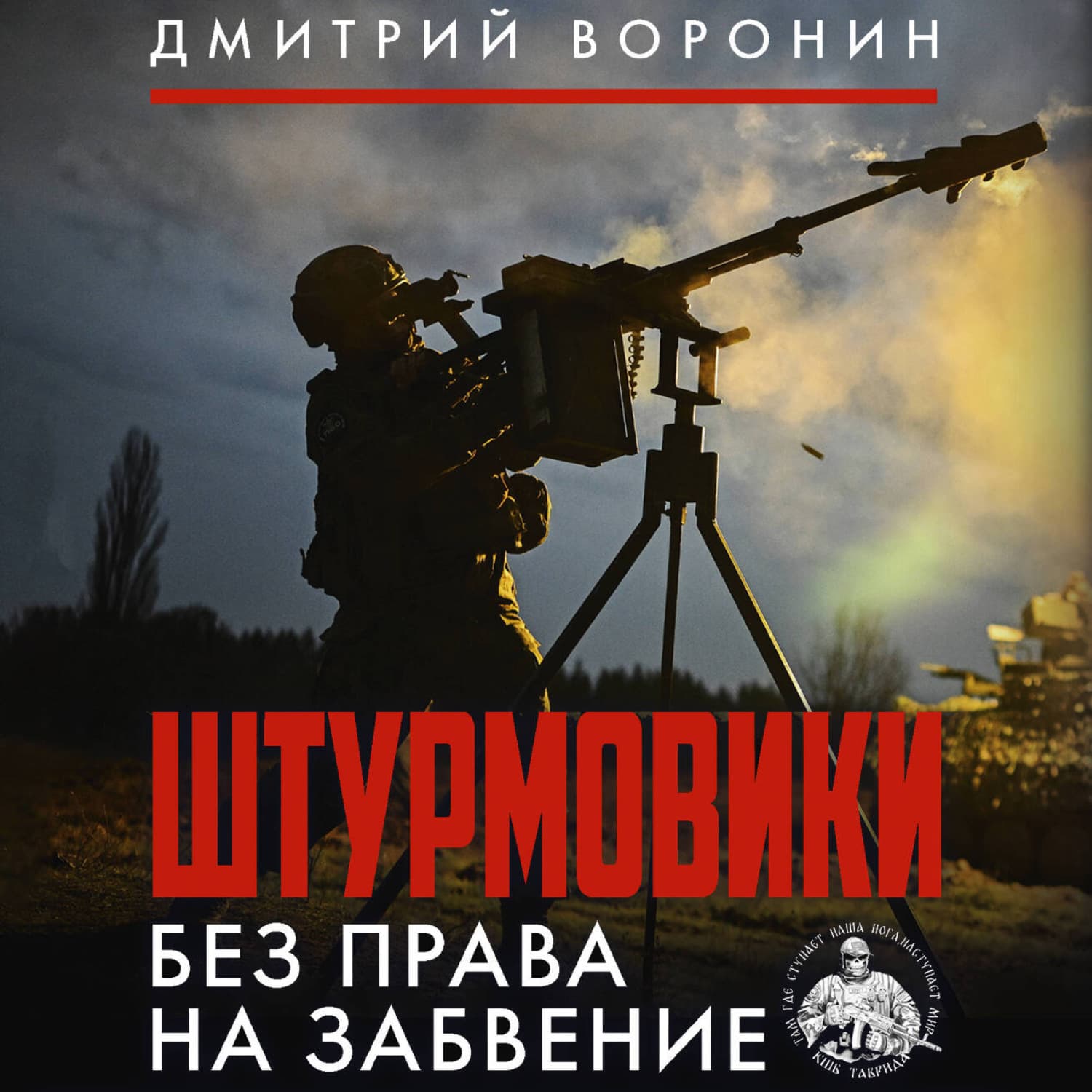 Обложка книги «Штурмовики. Без права на забвение» — Дмитрий Воронин