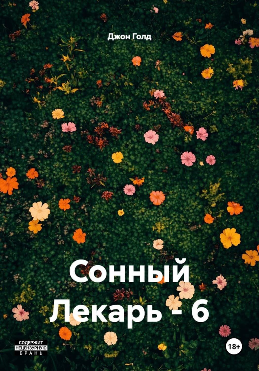 Обложка книги «Сонный Лекарь - 6» — Дэниел Голд