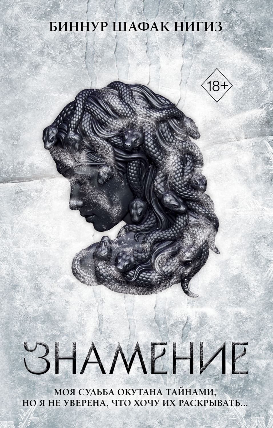 Обложка книги «Знамение» — Биннур Шафак Нигиз