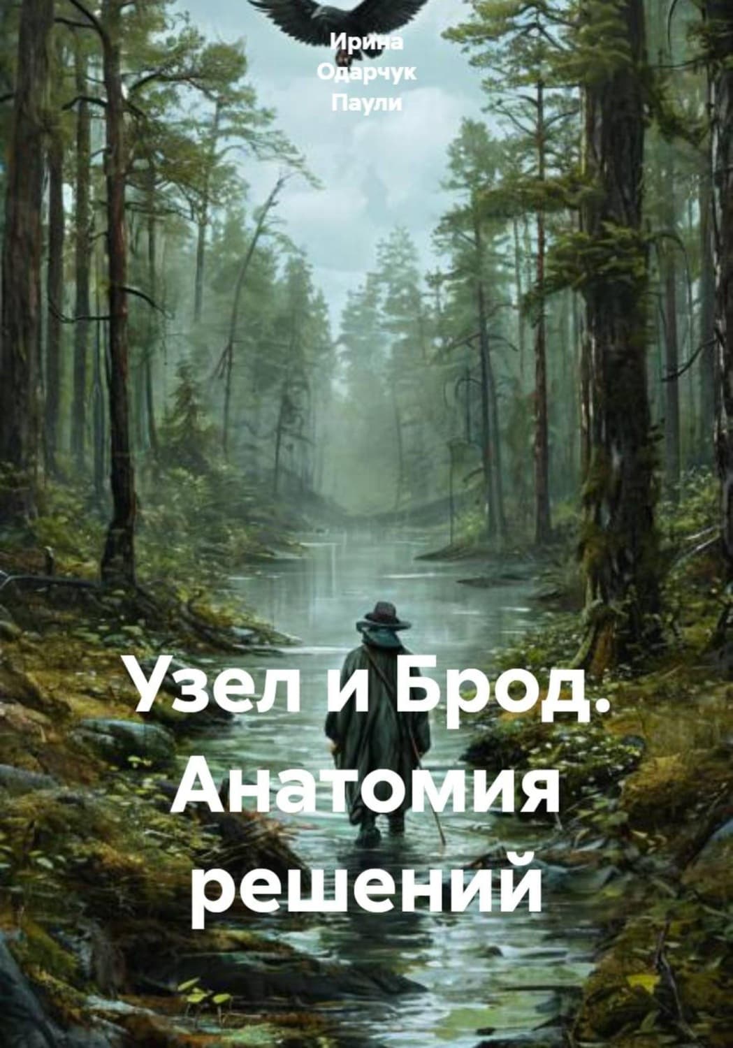 Обложка книги «Узел и Брод. Анатомия решений» — Оснач Ирина