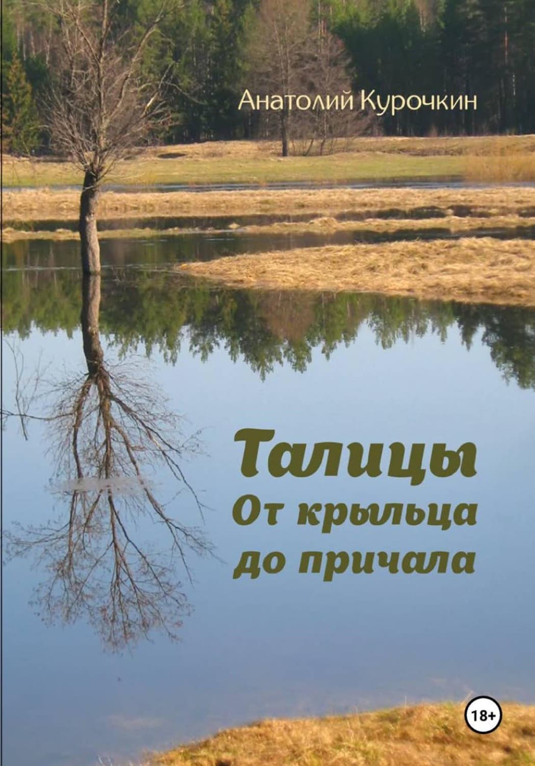 Обложка книги «Талицы. От крыльца до причала» — А. М. Курочкин