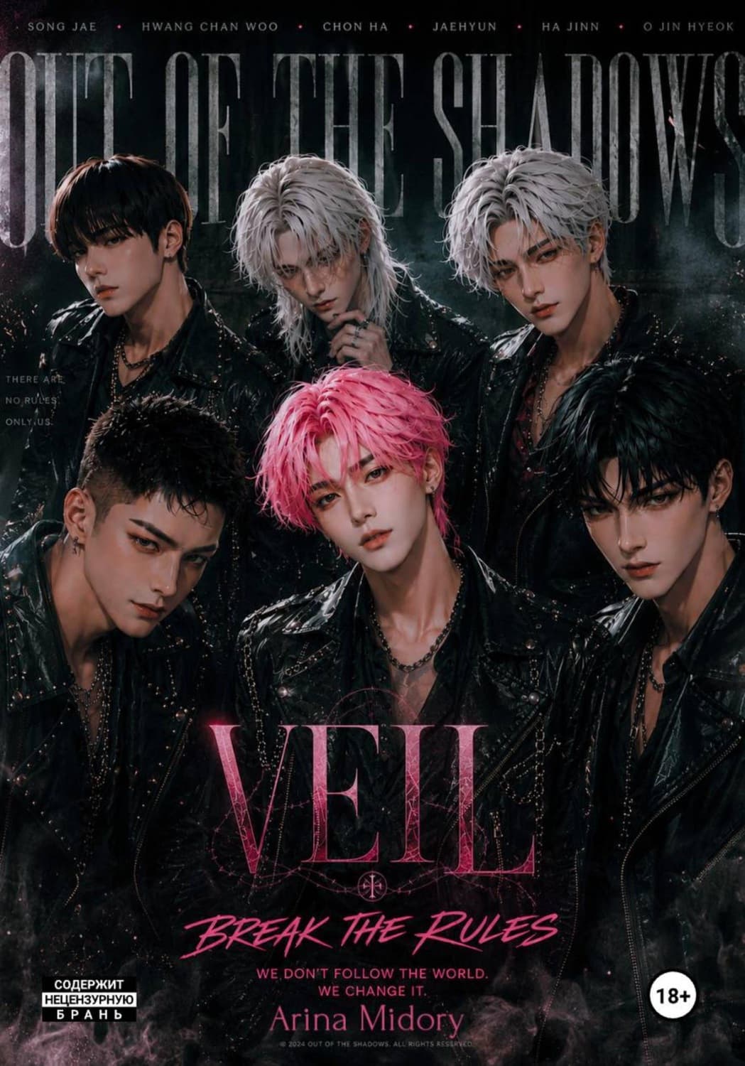 Обложка книги «VEIL» — Мур Арина