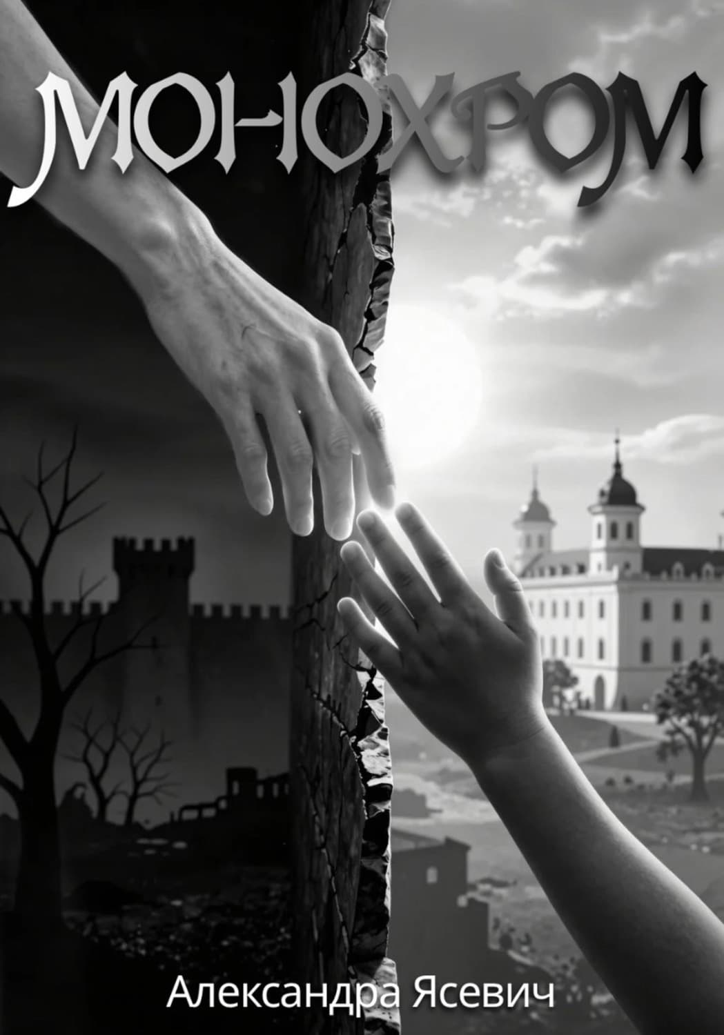 Обложка книги «Монохром» — Александра