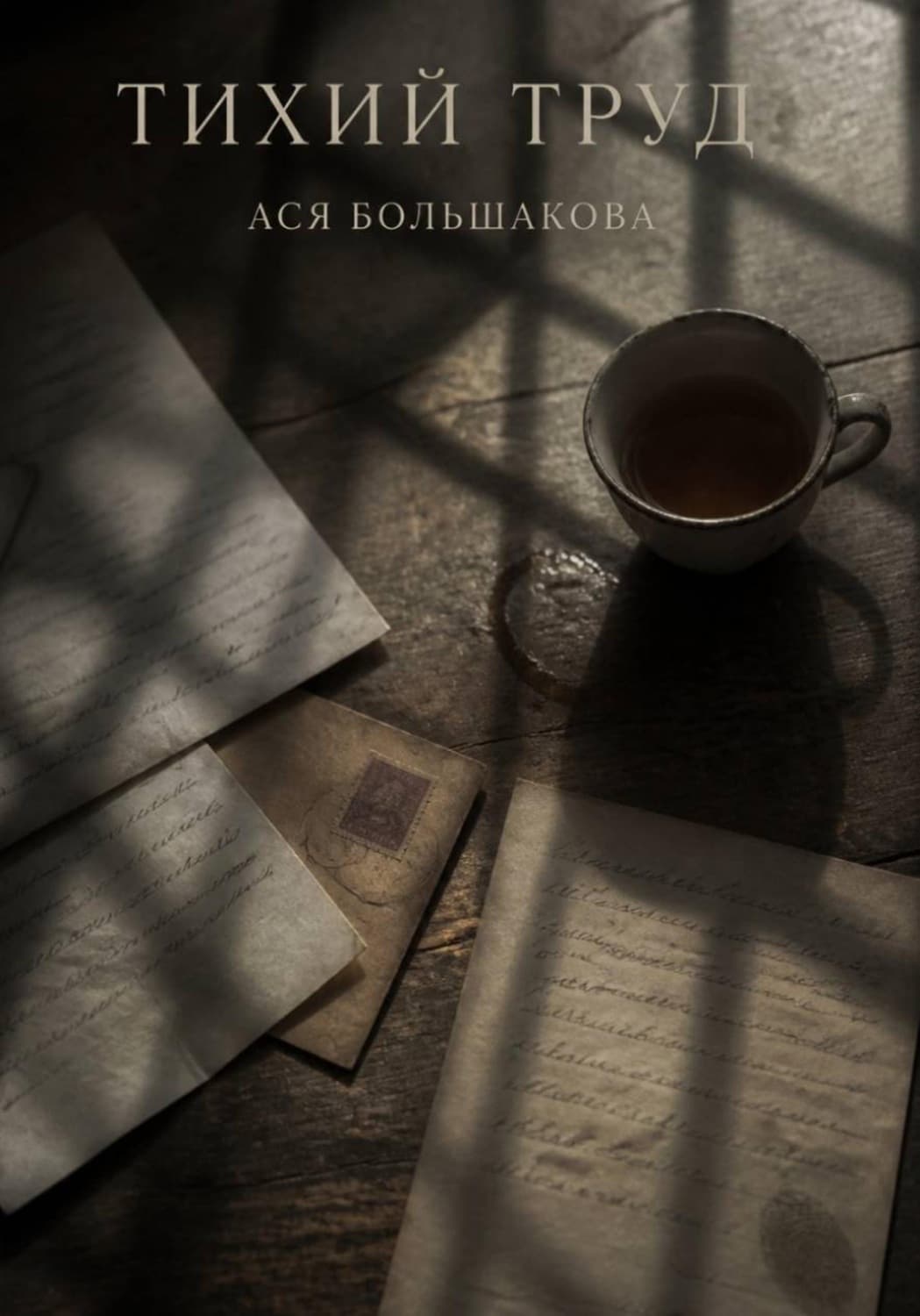 Обложка книги «Тихий труд» — А. Большакова