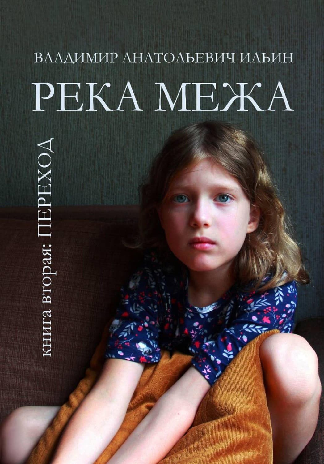 Обложка книги «Река Межа. Книга вторая. Переход» — В. А. Ильин