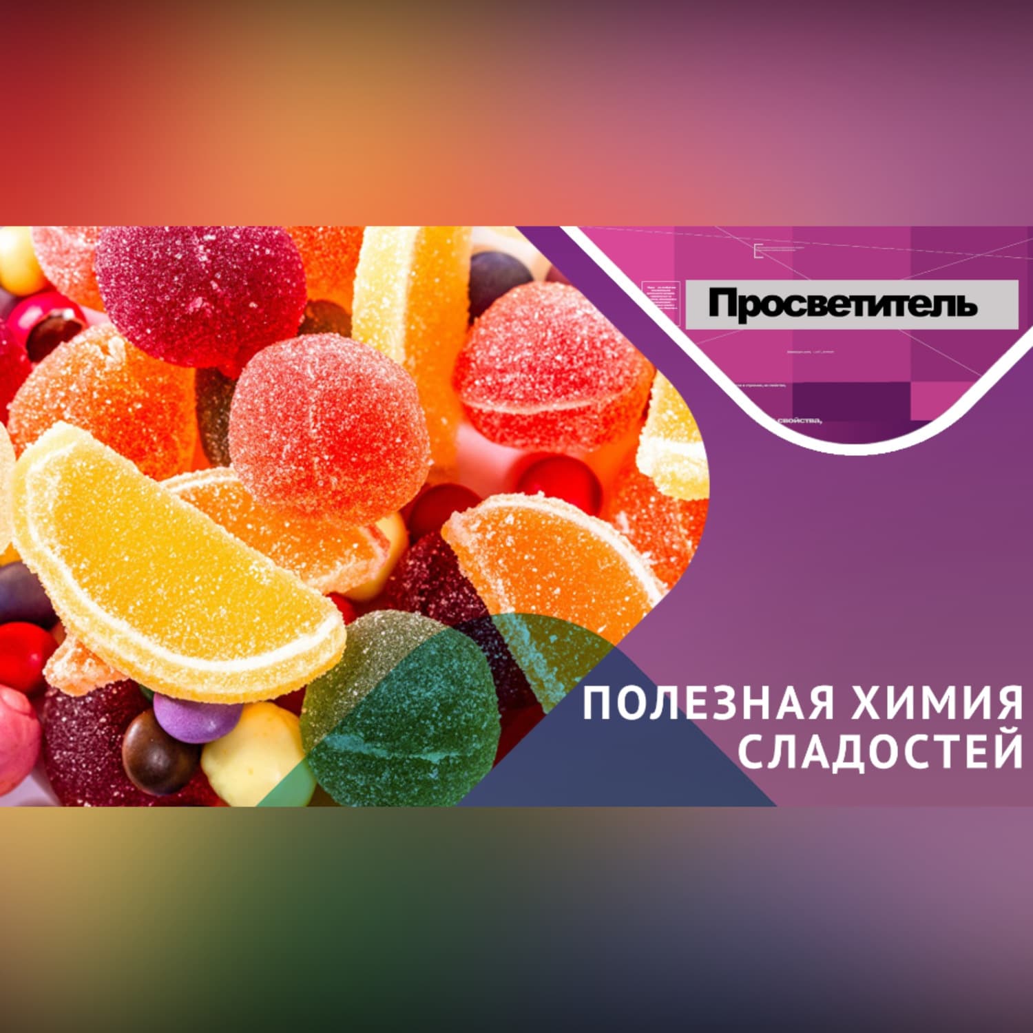Обложка книги «В чем ПОЛЬЗА СЛАДОСТЕЙ? Рассмотрим вопрос под призмой химических веществ» — Анна Гедмина
