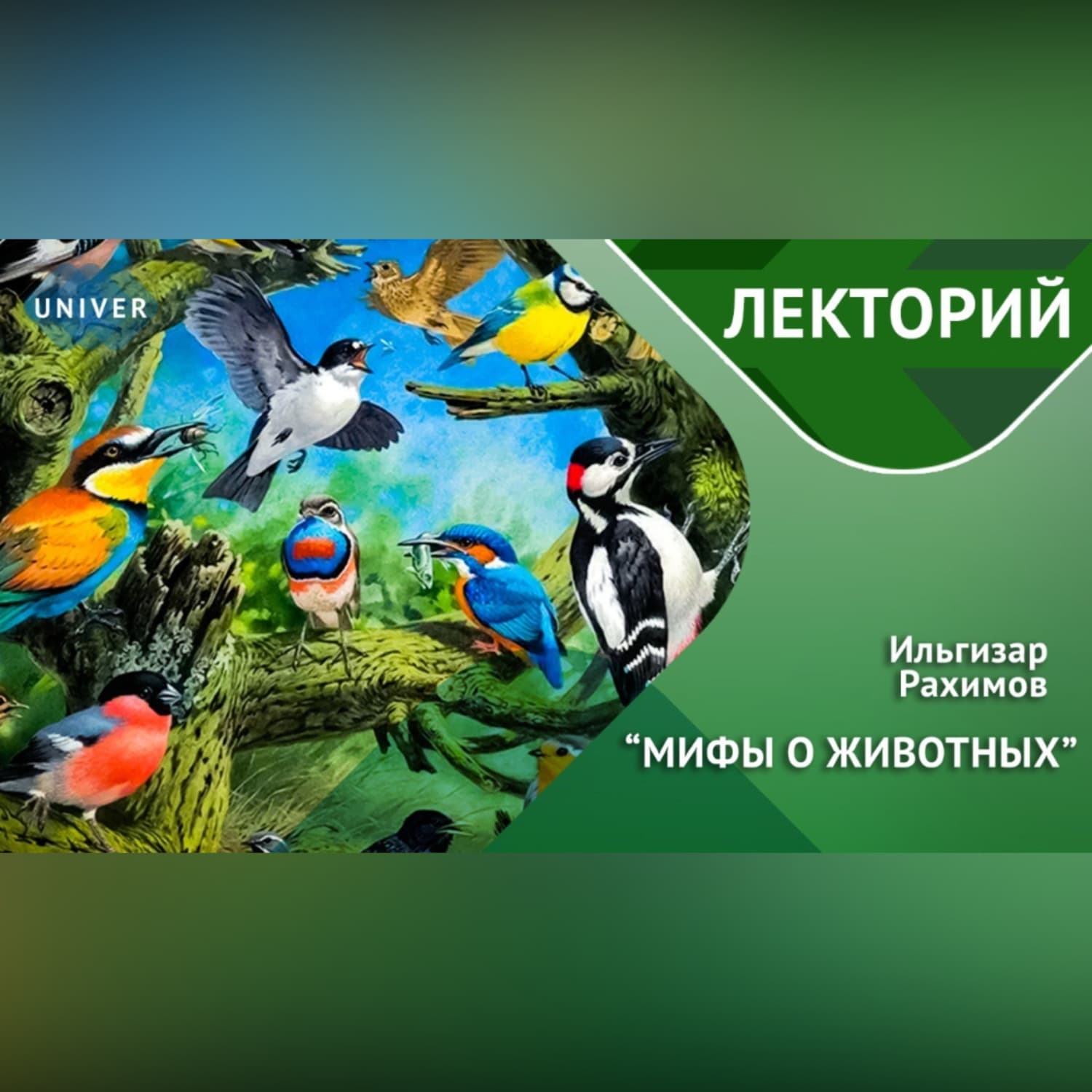 Обложка книги «ПТИЦЫ / вы точно этого не знали» — Ибрагим Рахимов