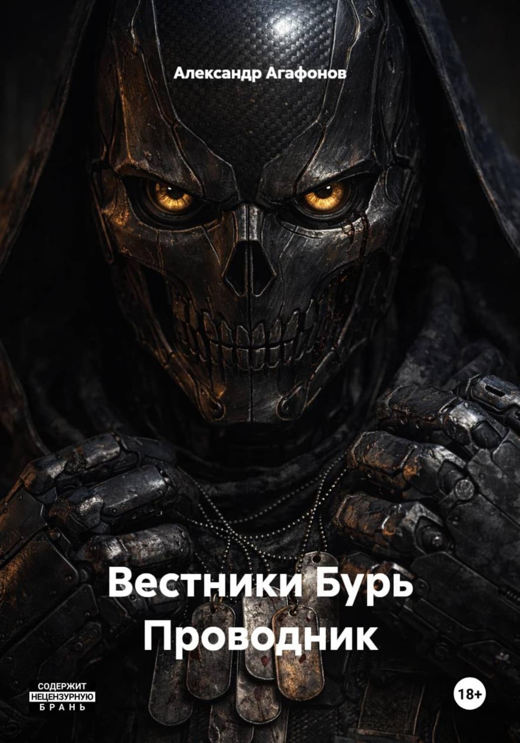 Обложка книги «Вестники Бурь Проводник» — Александр Агафонов