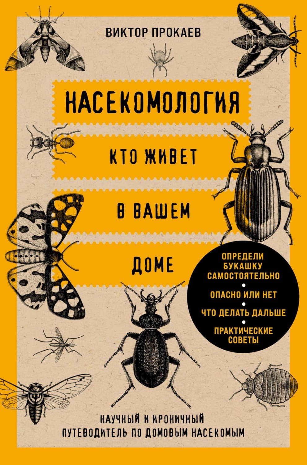 Обложка книги «Насекомология. Кто живет в вашем доме. Научный и ироничный путеводитель по домовым насекомым» — Виктор Прокаев