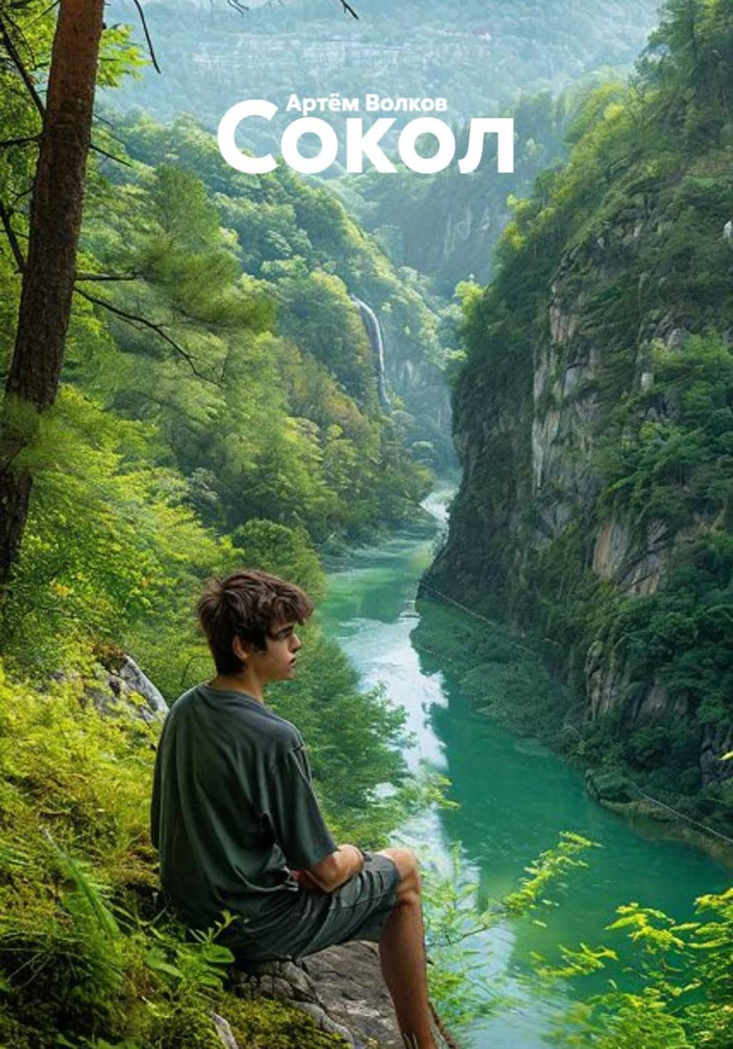 Обложка книги «Сокол» — Александр Волков