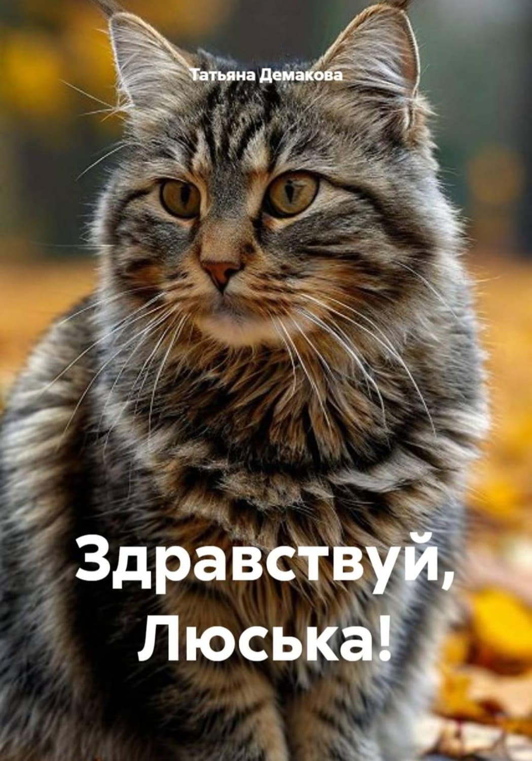 Обложка книги «Здравствуй, Люська!» — Татьяна Демакова