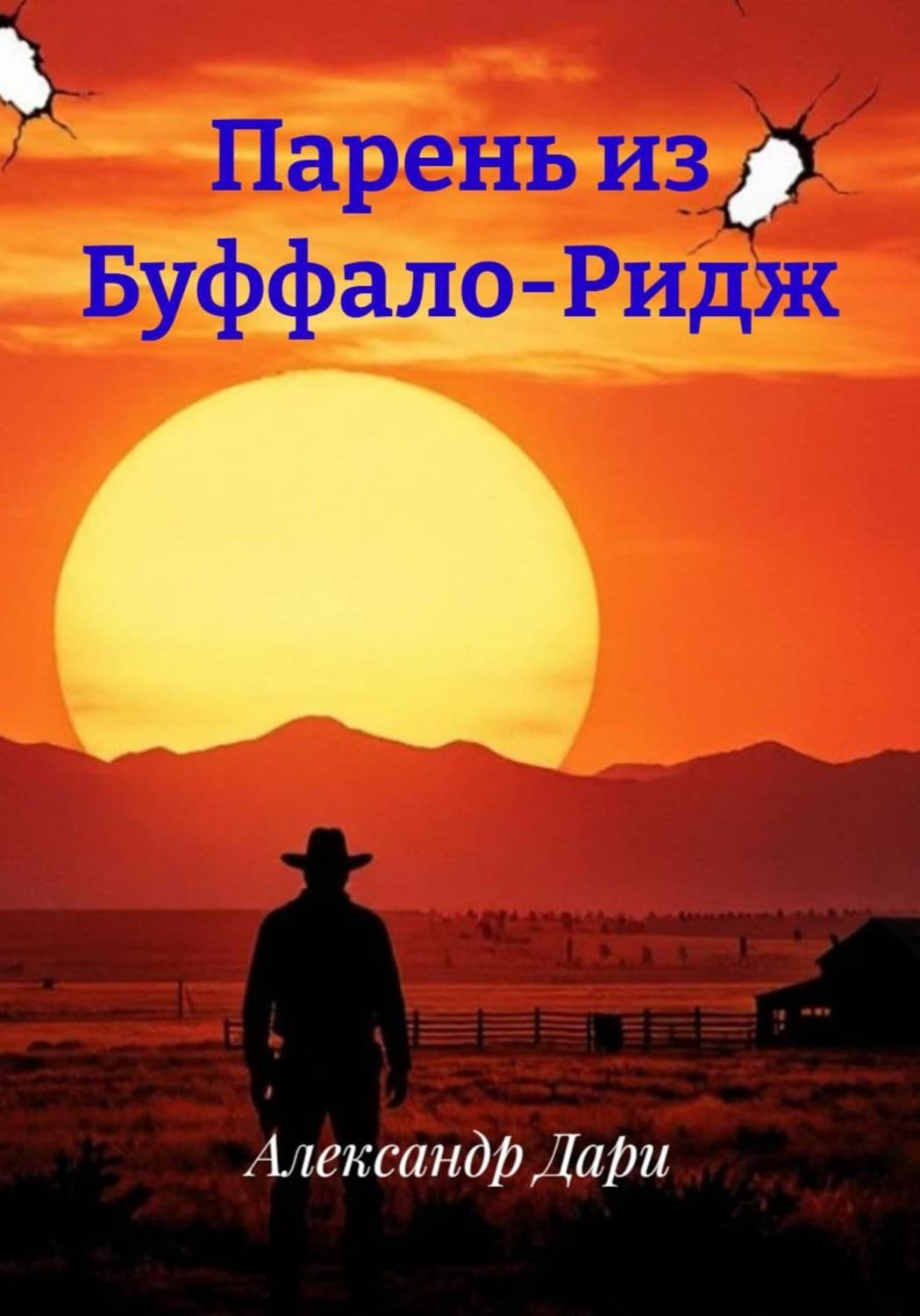 Обложка книги «Парень из Буффало-Ридж» — Анна Дари