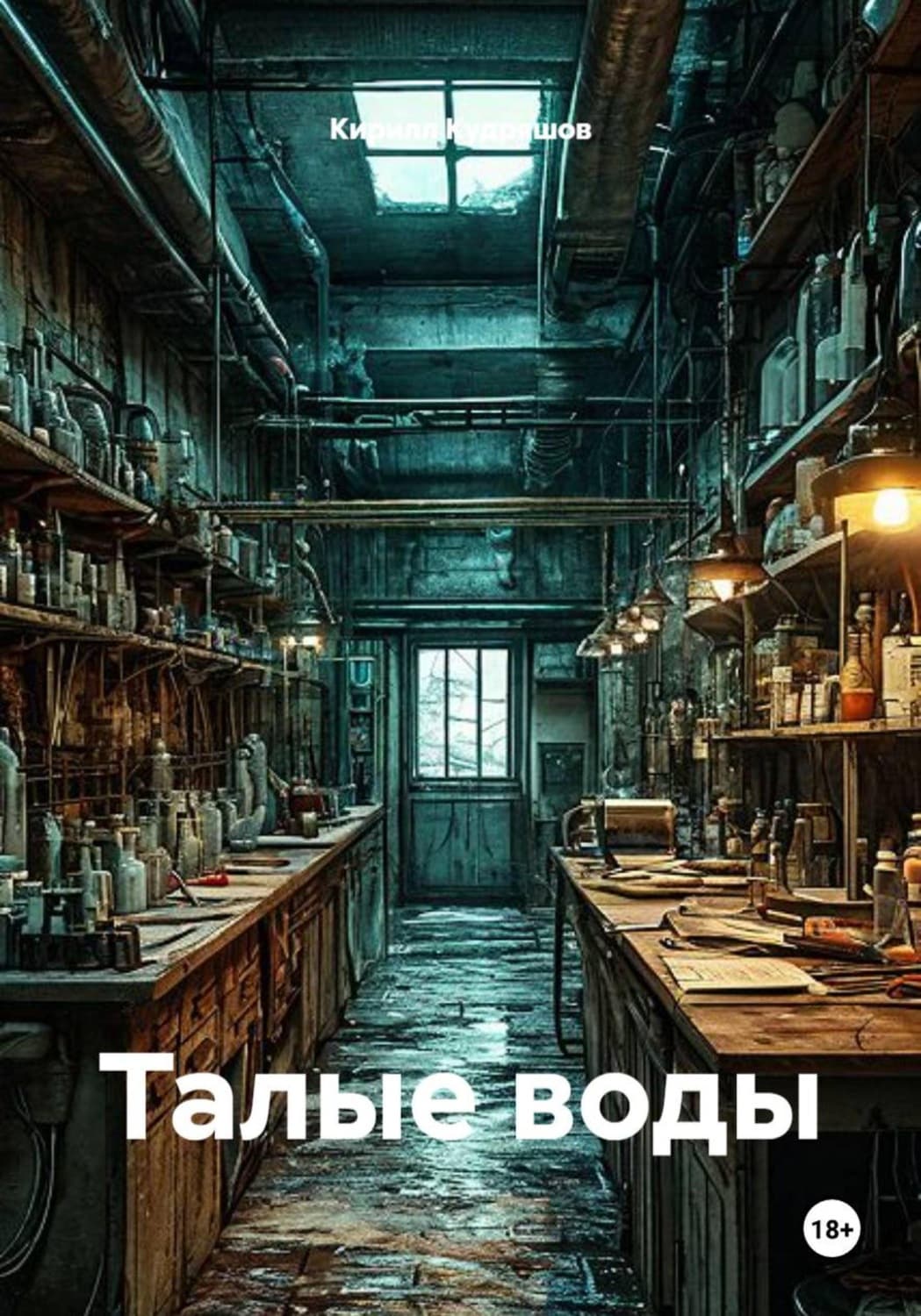 Обложка книги «Талые воды» — Кирилл Кудряшов