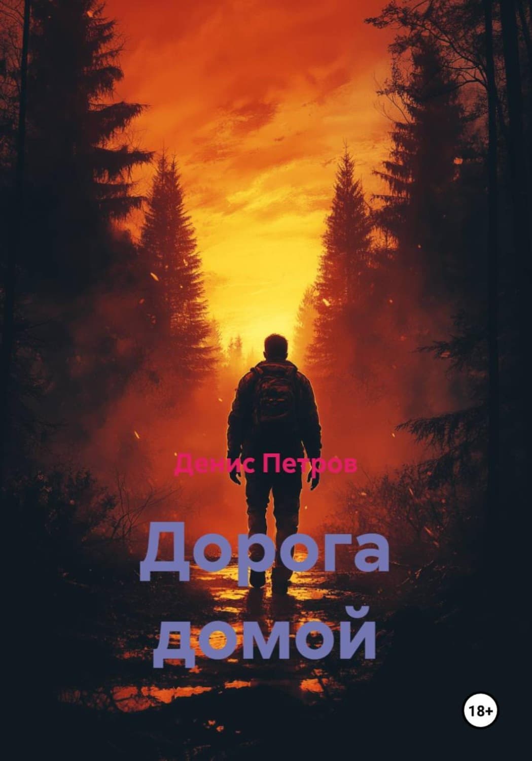 Обложка книги «Дорога домой» — Дмитрий Петров