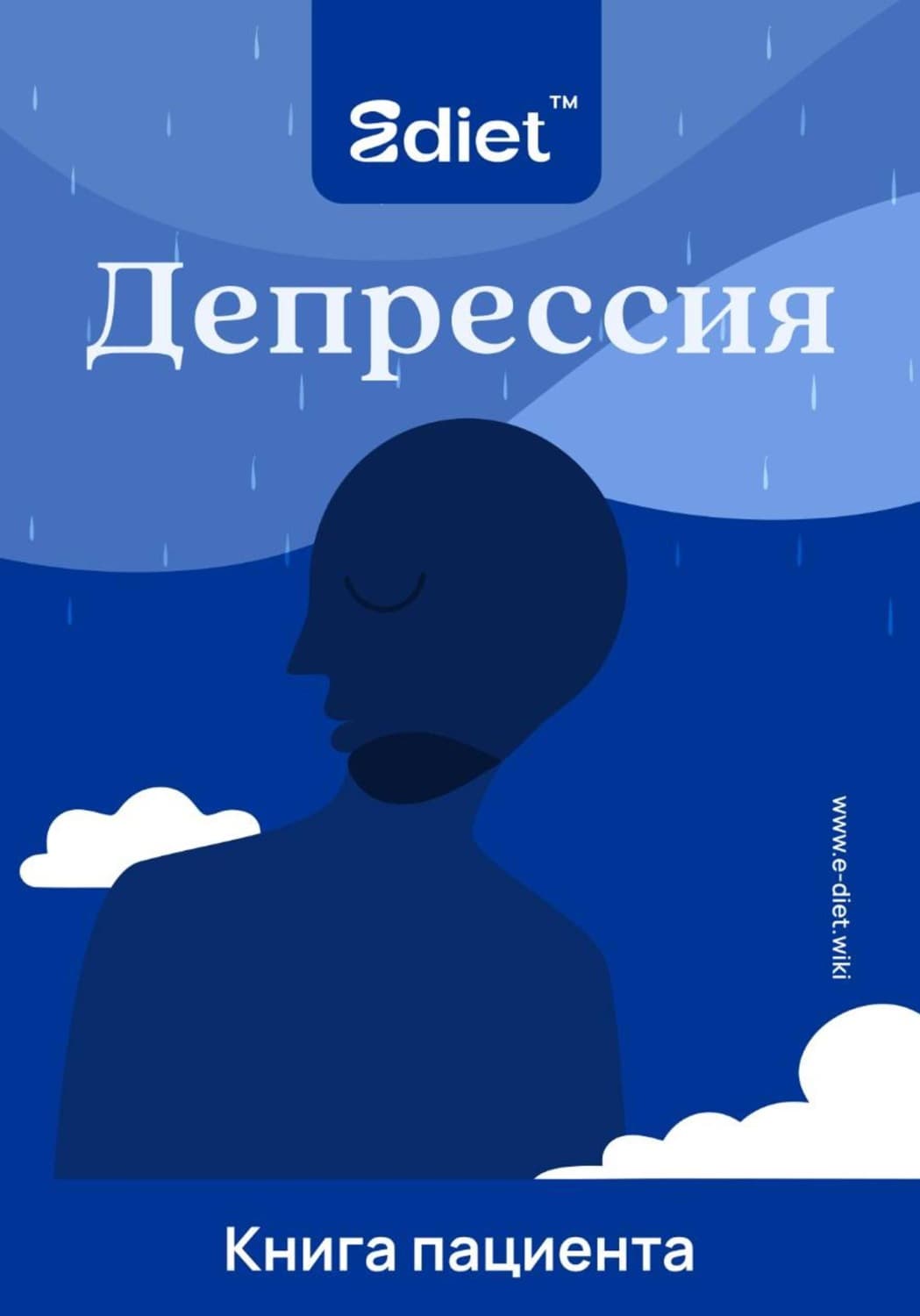 Обложка книги «Депрессия» — Альфира Ткаченко