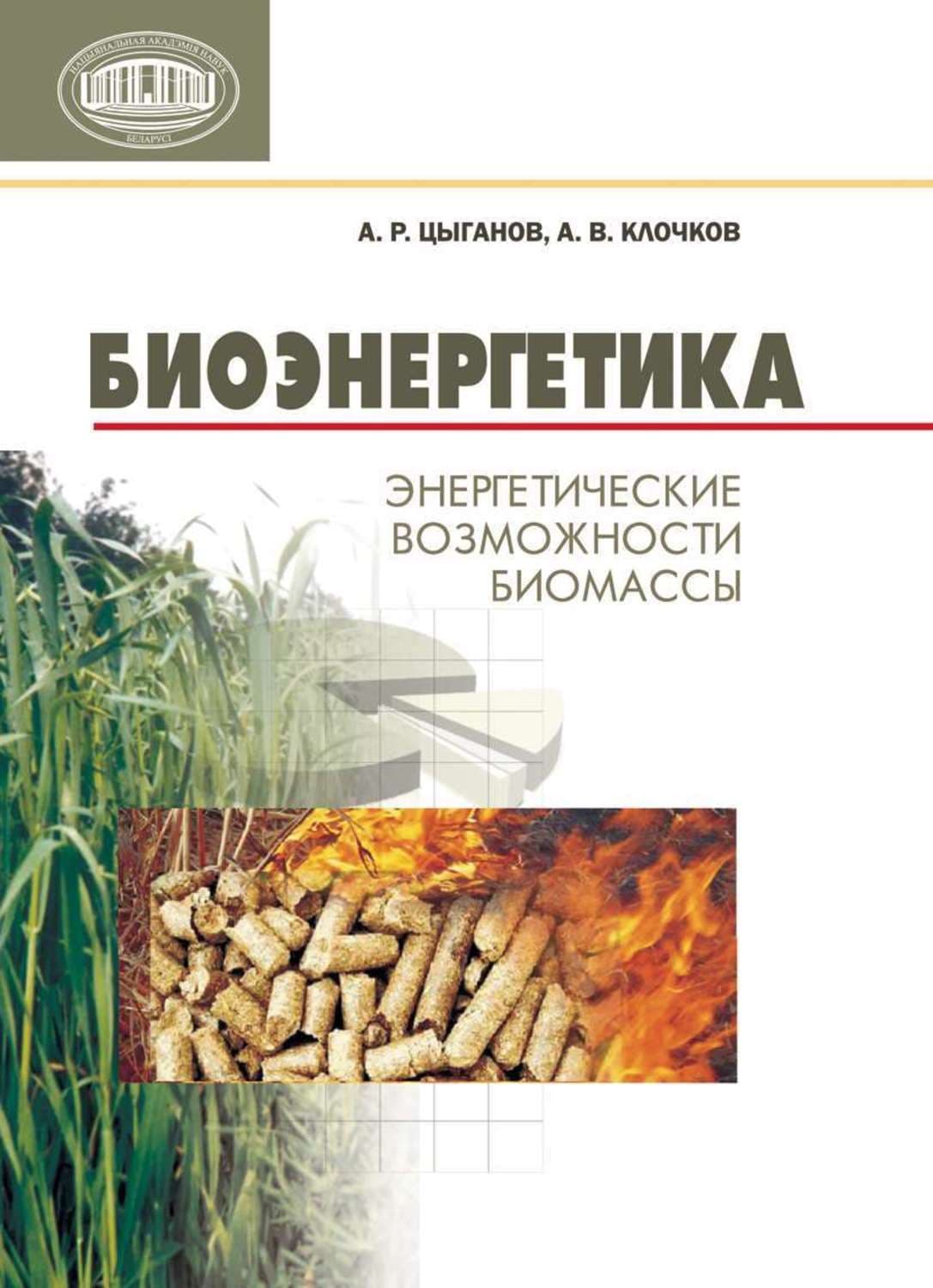 Обложка книги «Биоэнергетика. Энергетические возможности биомассы» — Андрей Цыганов