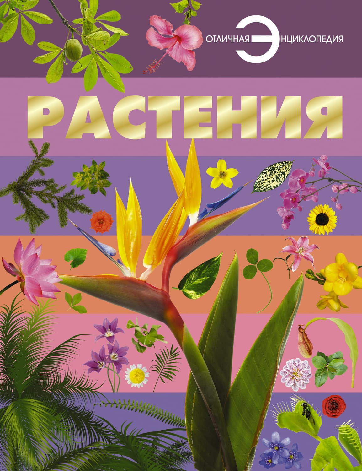 Обложка книги «Растения» — А. А. Спектор