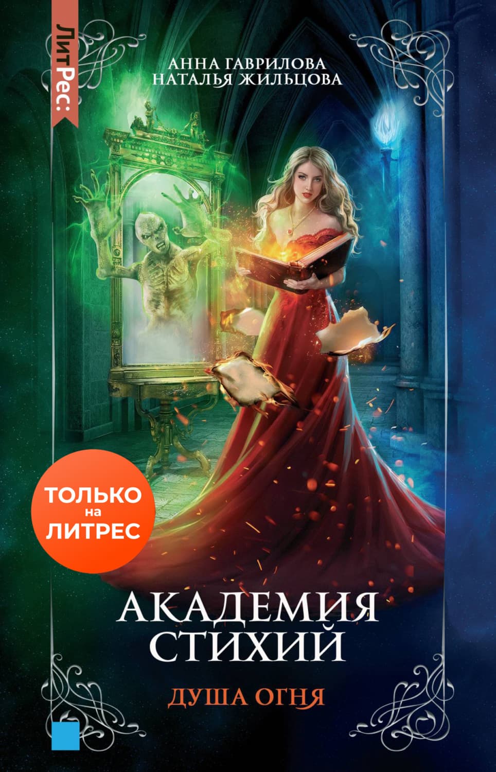 Обложка книги «Академия Стихий. Душа Огня» — Наталья Жильцова
