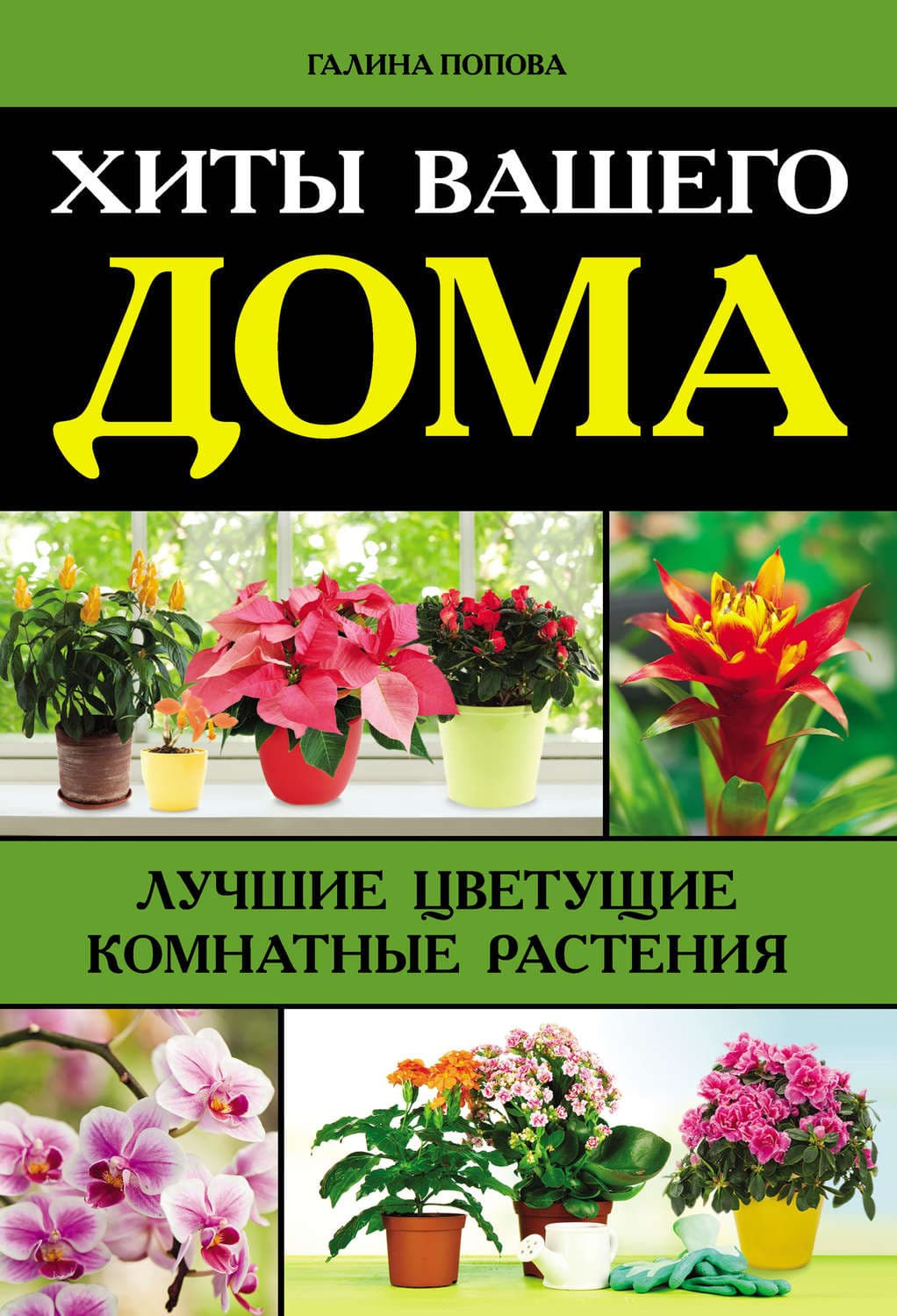 Обложка книги «Хиты вашего дома. Лучшие цветущие комнатные растения» — Галина Попова