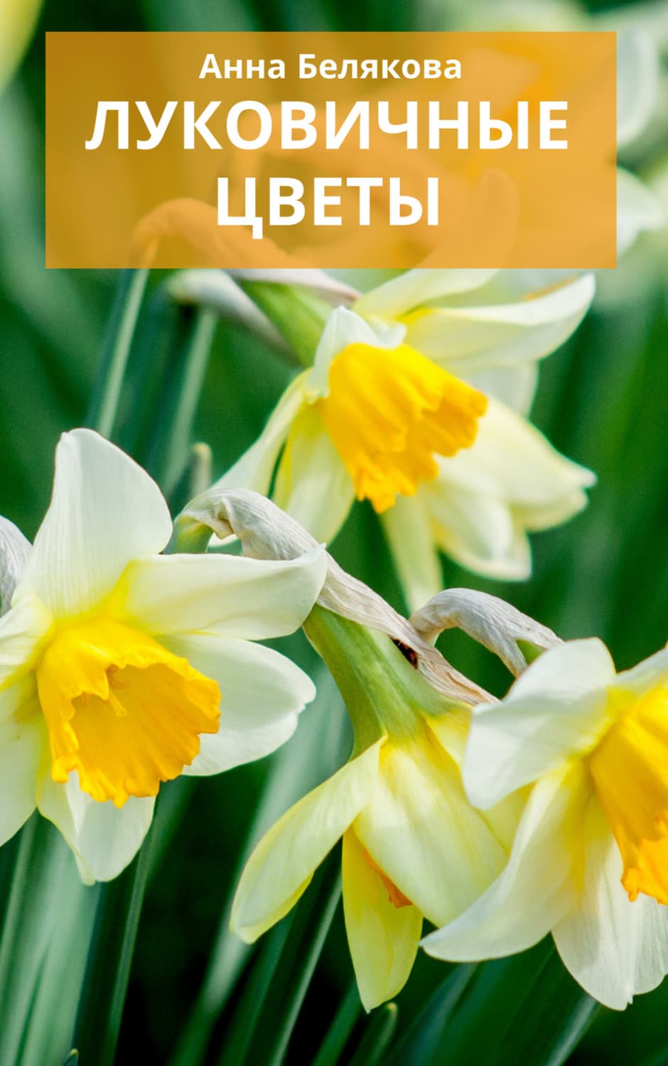 Обложка книги «Луковичные цветы» — Анна Белякова