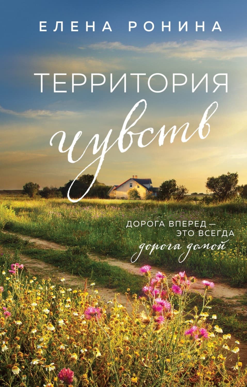 Обложка книги «Территория чувств» — Елена Ронина