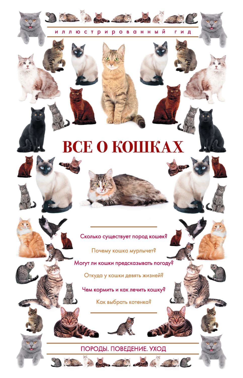 Обложка книги «Все о кошках. Иллюстрированный гид» — Н. Н. Непомнящий