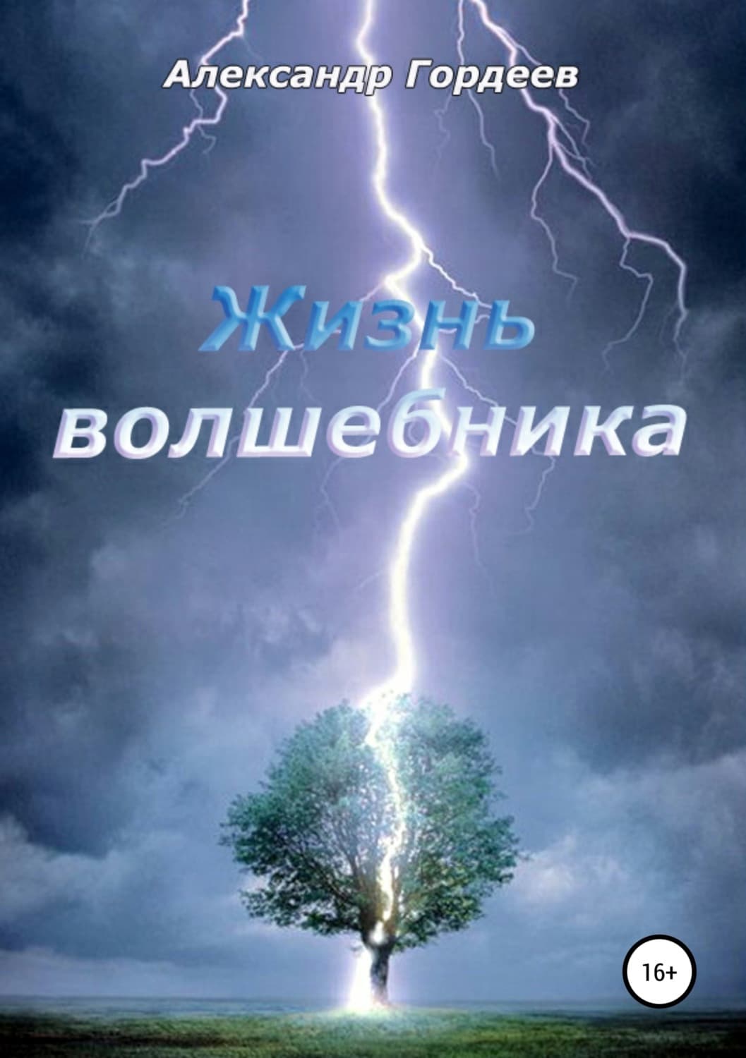 Обложка книги «Жизнь волшебника» — А. А. Гордеев