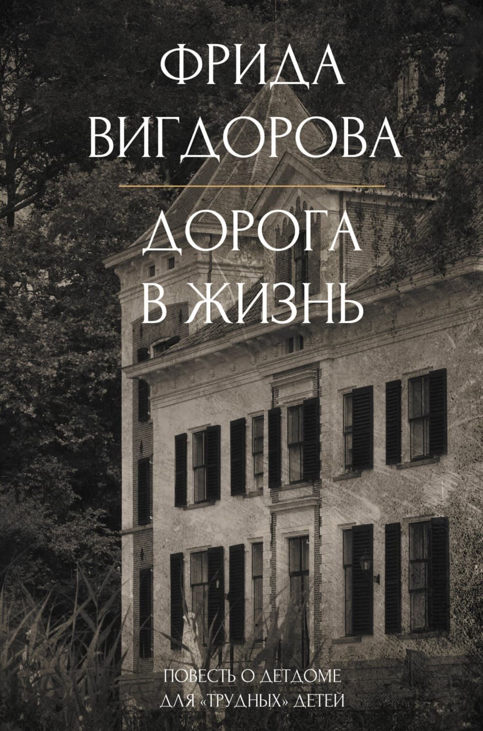 Обложка книги «Дорога в жизнь» — Фрида Вигдорова
