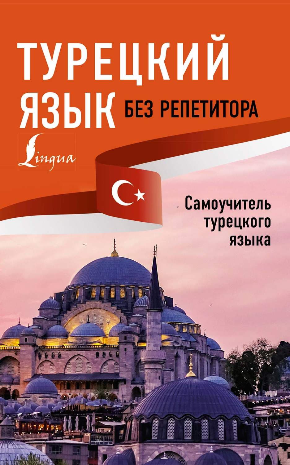 Обложка книги «Турецкий язык без репетитора. Самоучитель турецкого языка» — А. В. Каплан